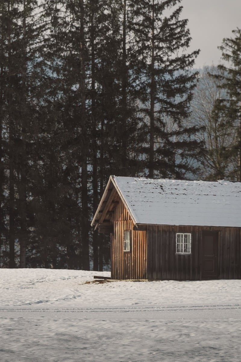 Enchanted Forest Retreat